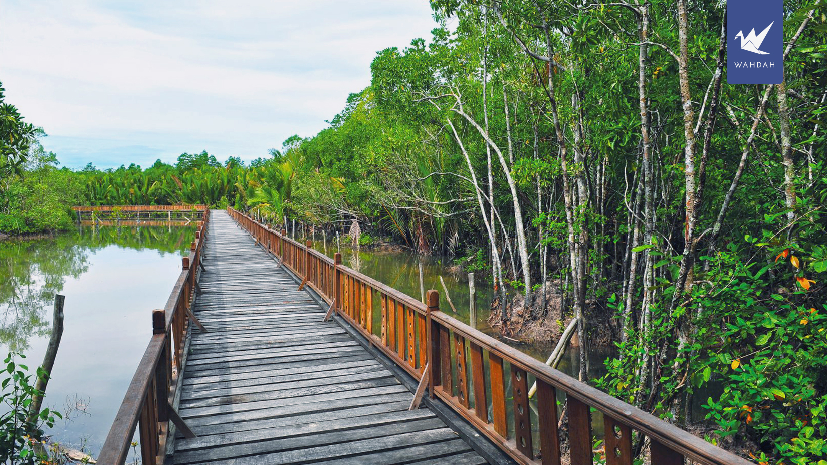 Explore the Beauty of Setiu Wetlands on a Scenic Drive from Kuala Terengganu